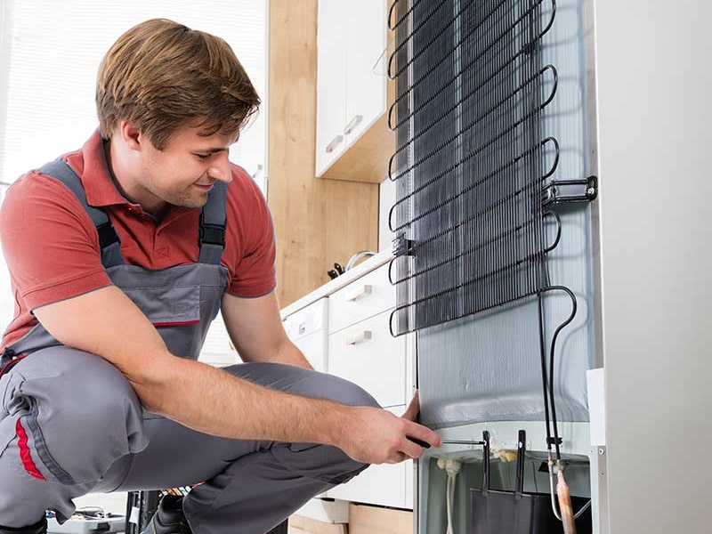 Técnico Reparando Nevera Zanussi Técnico Reparando Nevera Zanussi